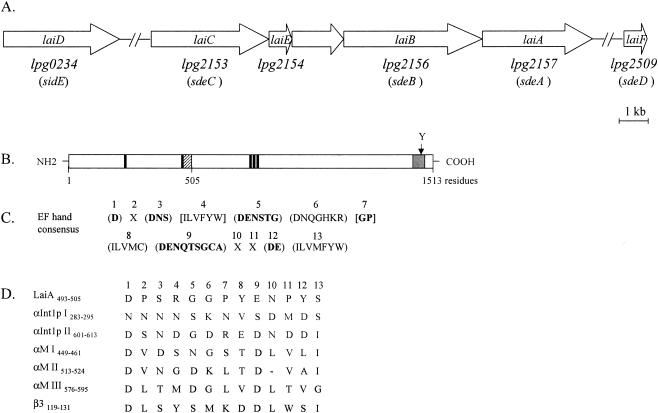 FIG. 2.