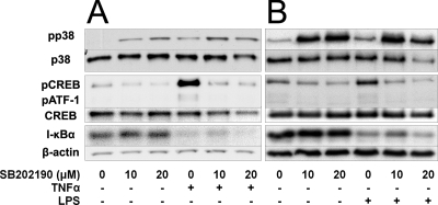 FIG. 5.