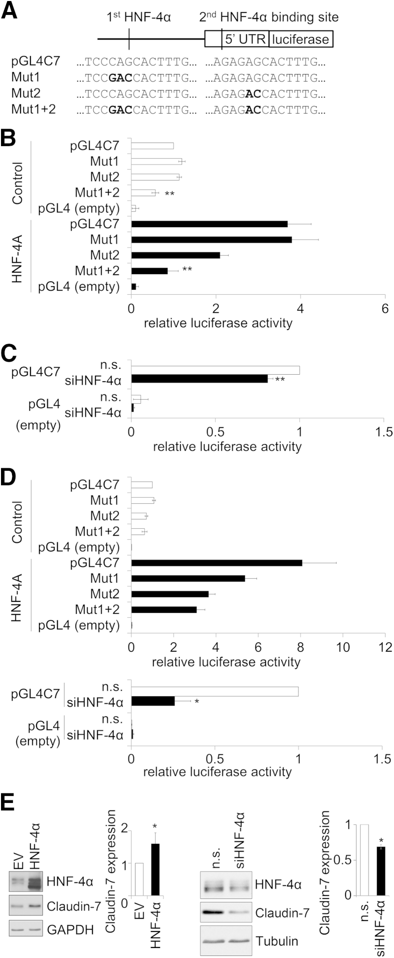 Figure 6