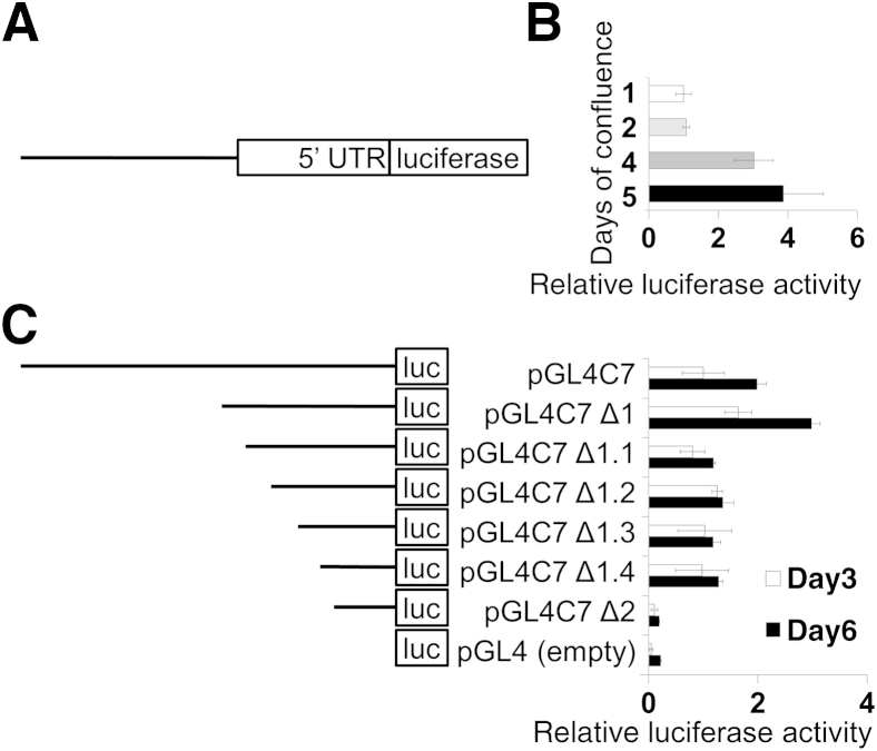 Figure 4