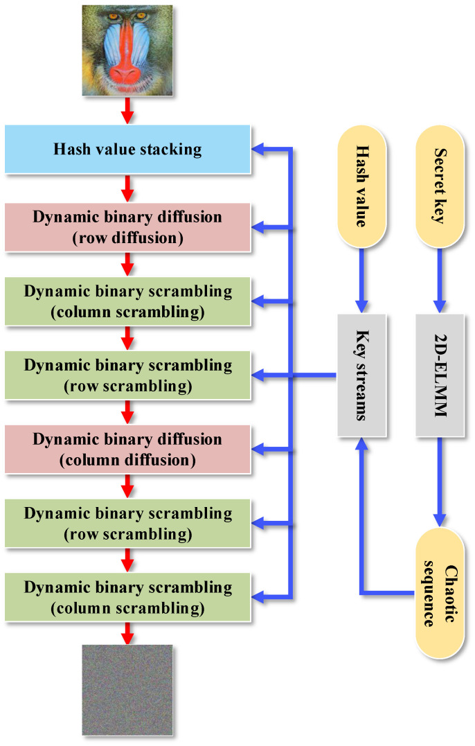 Figure 7