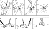 Figure 4b.
