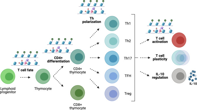 Figure 4