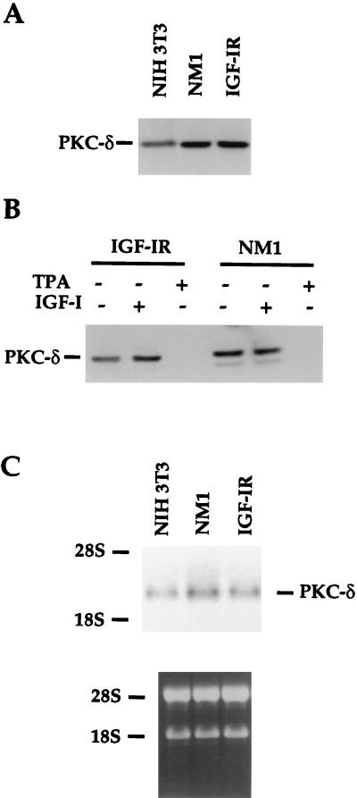 FIG. 9