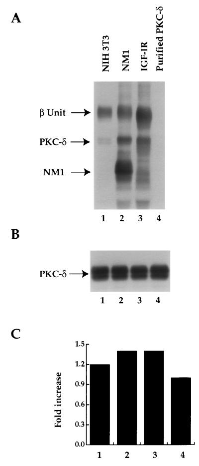 FIG. 7