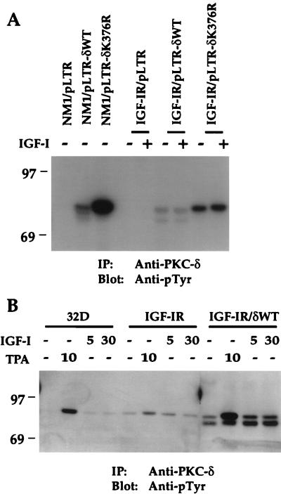 FIG. 6