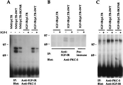 FIG. 8