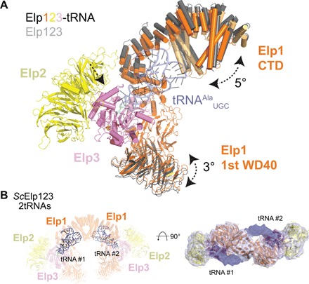 Fig. 3