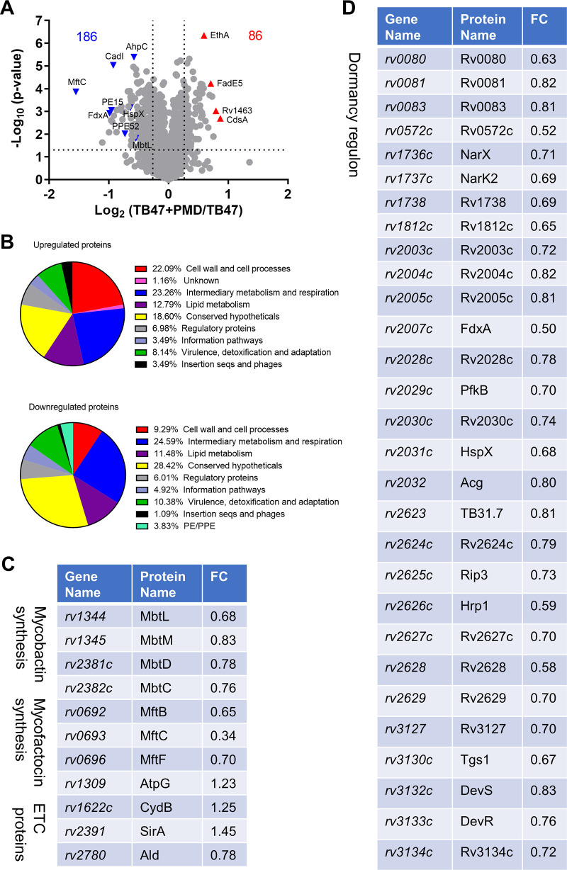 FIG 6