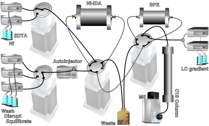 Fig. 3