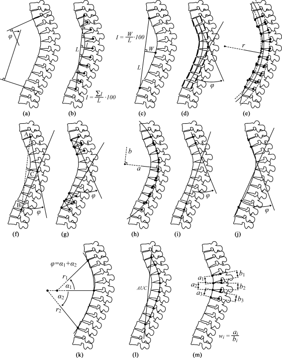 Fig. 2