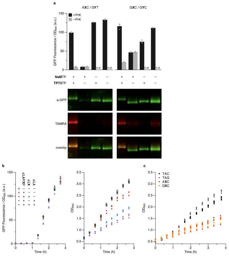 Extended data Figure 4