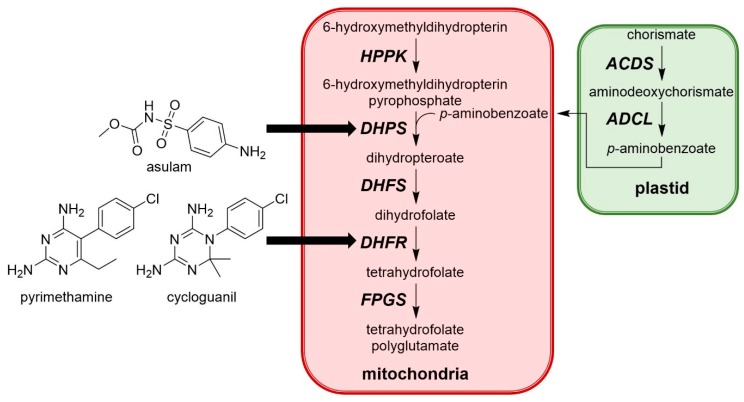 Figure 13