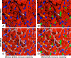 Fig. 2.