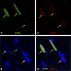 Fig. 3.