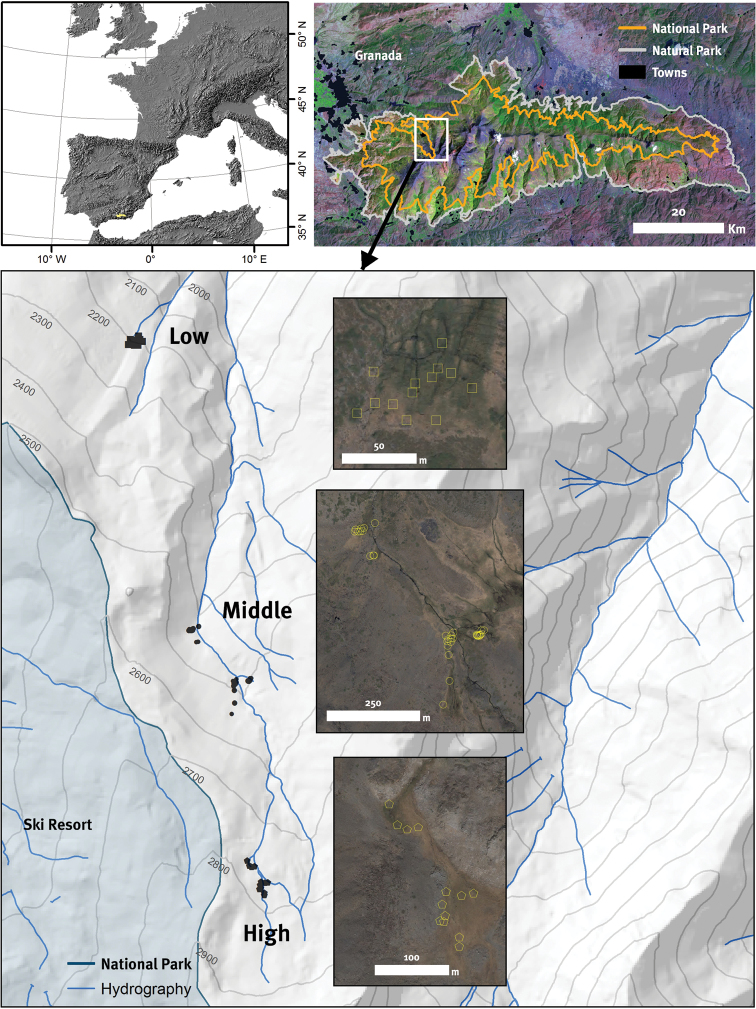 Figure 1.