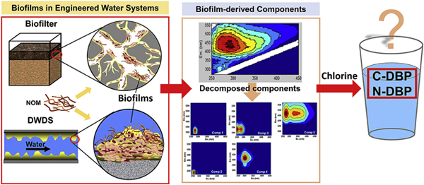 graphic file with name nihms-1624504-f0005.jpg