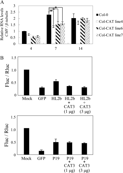 Figure 9.