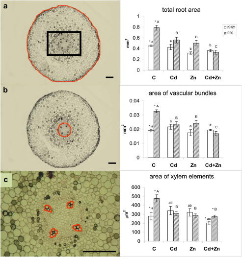 Fig. 3