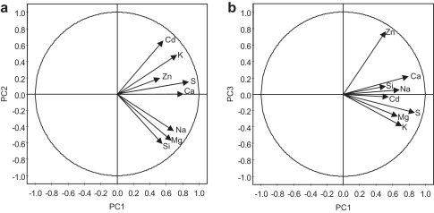 Fig. 5