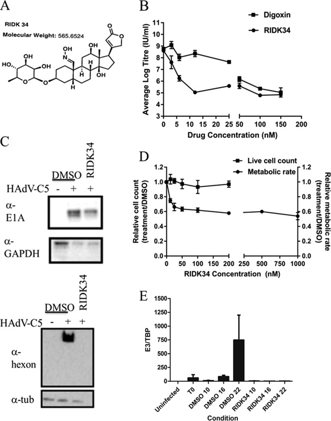 FIG 10