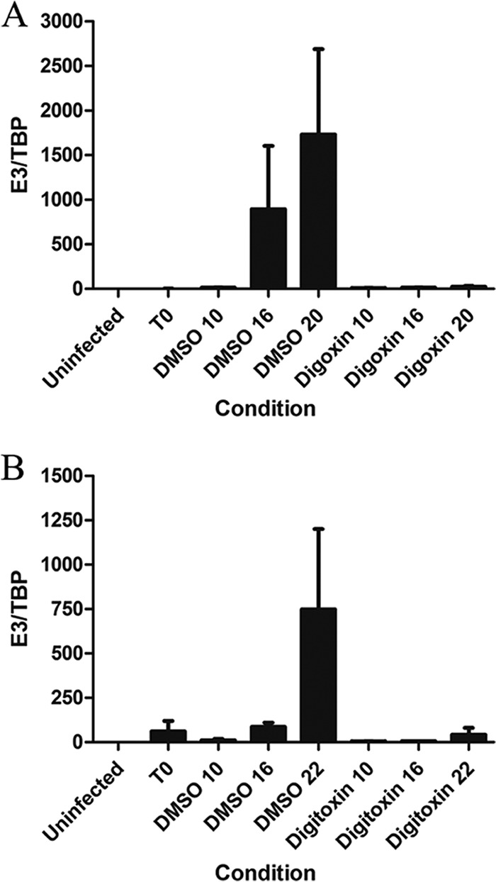 FIG 7