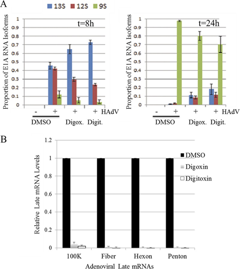 FIG 6