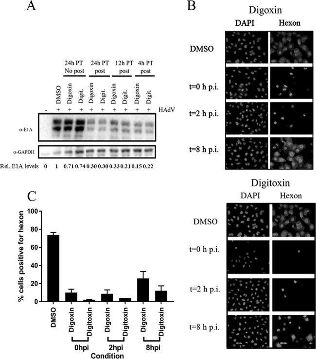 FIG 9