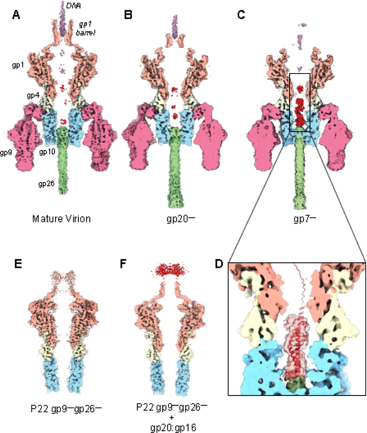 Figure 5.