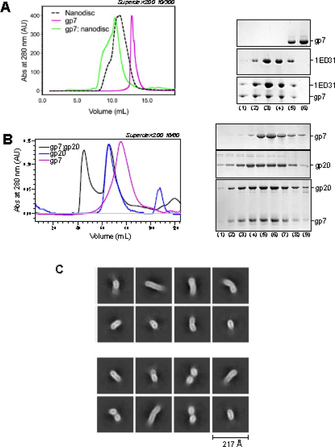 Figure 6: