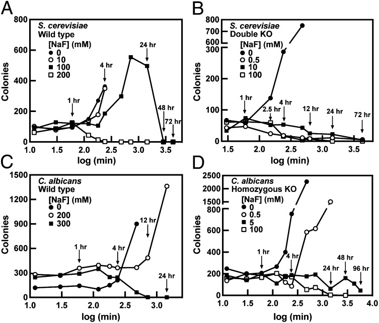 Fig. 6.