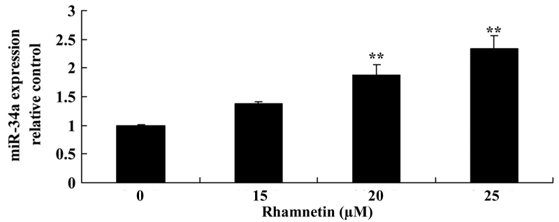 Figure 5.