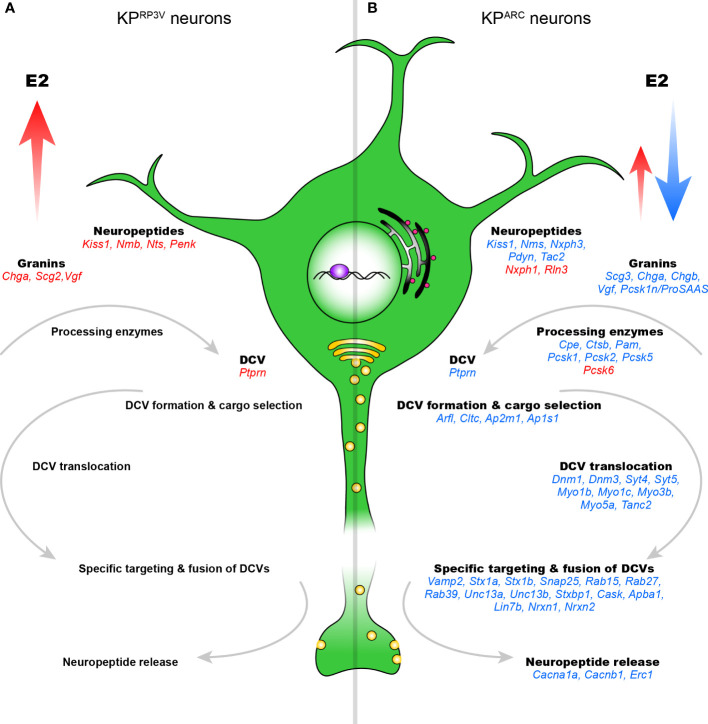 Figure 4