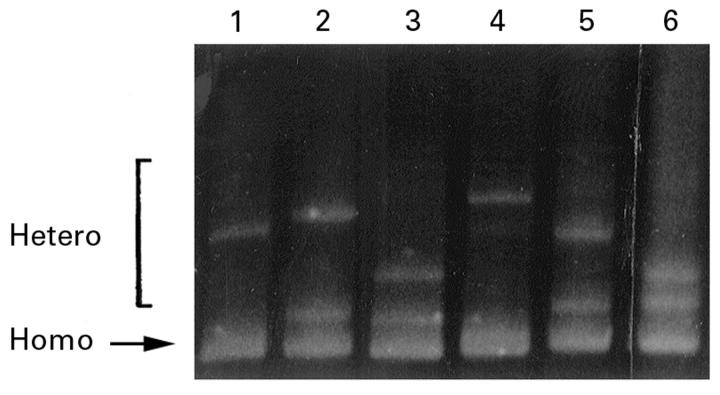 Figure 3  