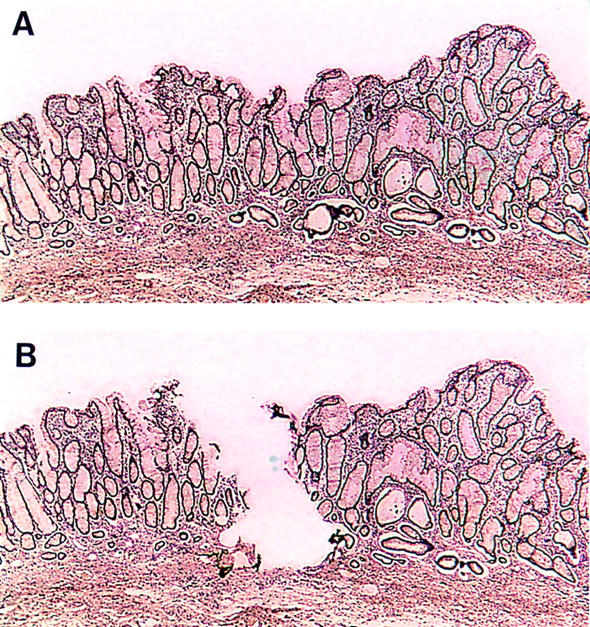 Figure 1  