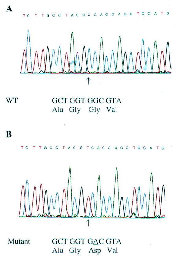 Figure 4  