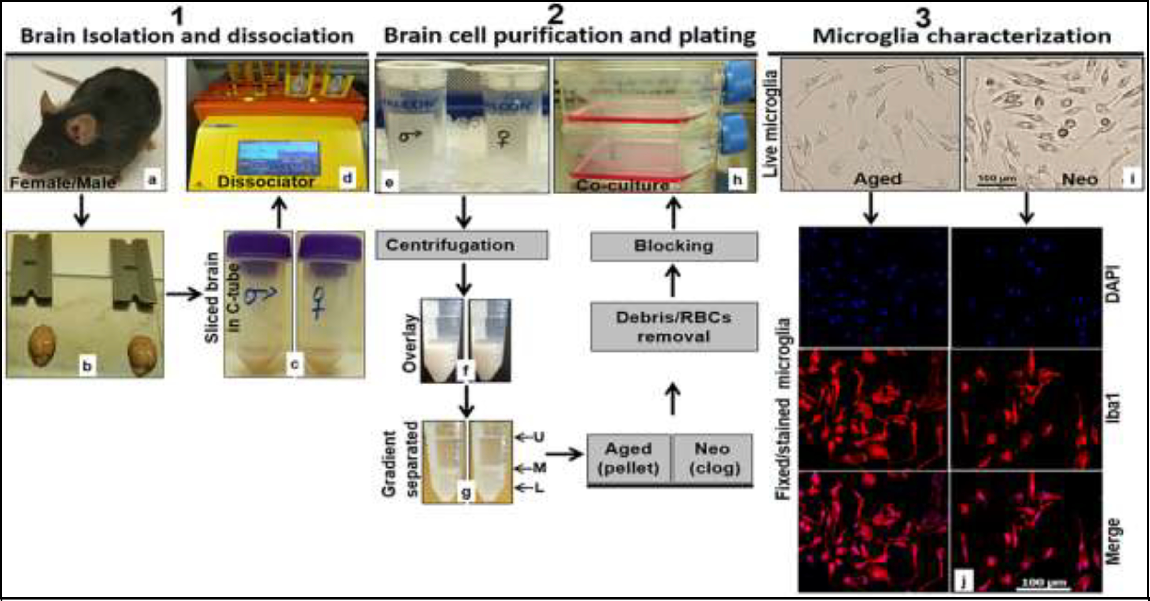 Figure 1: