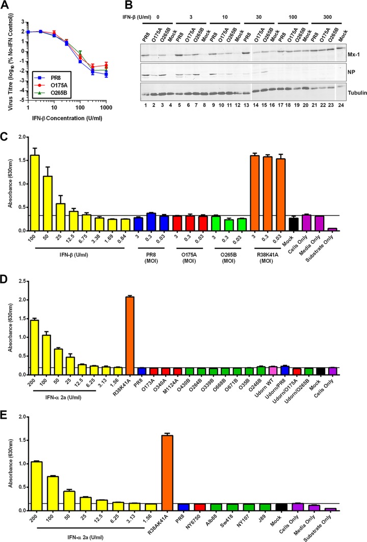 FIG 3