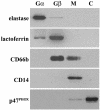 FIG. 5.