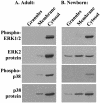 FIG. 7.