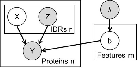 Figure 1—figure supplement 1.