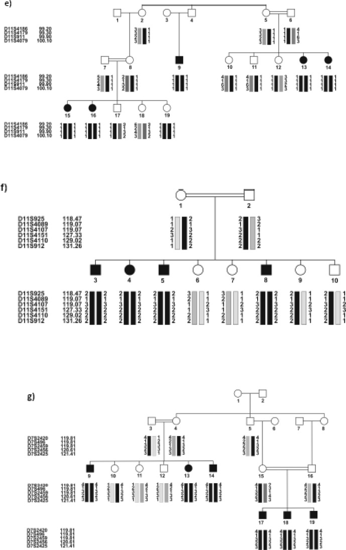 Fig. 1: