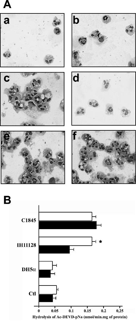 FIG. 5.