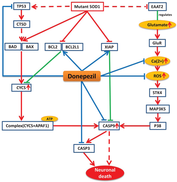 Fig.2