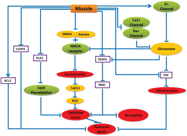 Fig.3