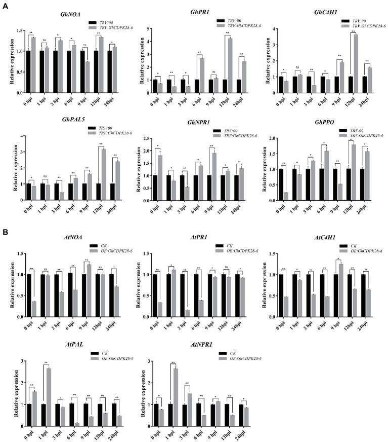 Figure 6