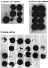 FIG. 3