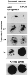 FIG. 5