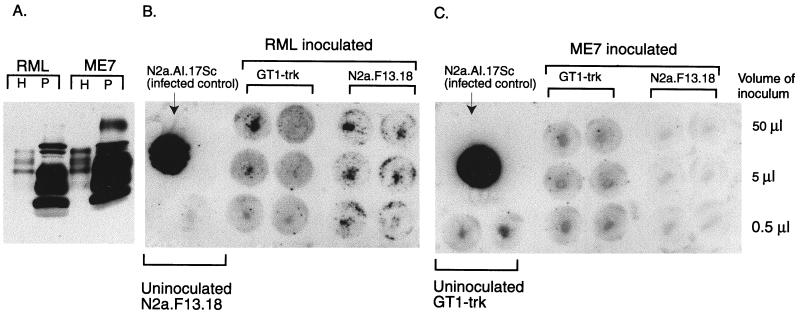 FIG. 8