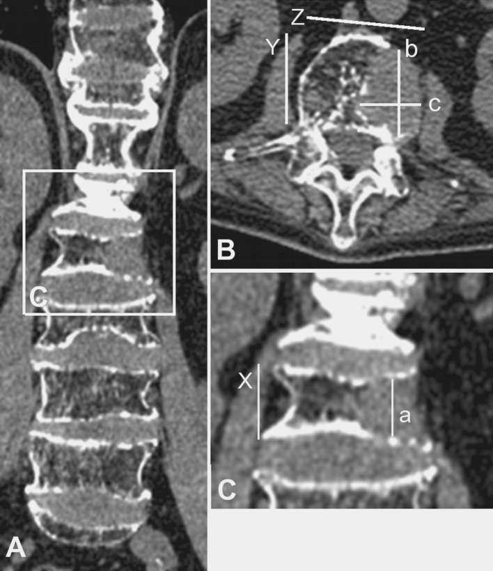 Fig. 1